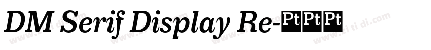 DM Serif Display Re字体转换